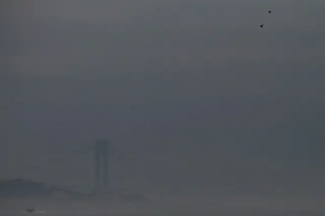Fog in New York Harbor